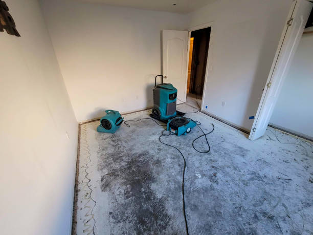 Best Water damage restoration cost  in Montebello, NY