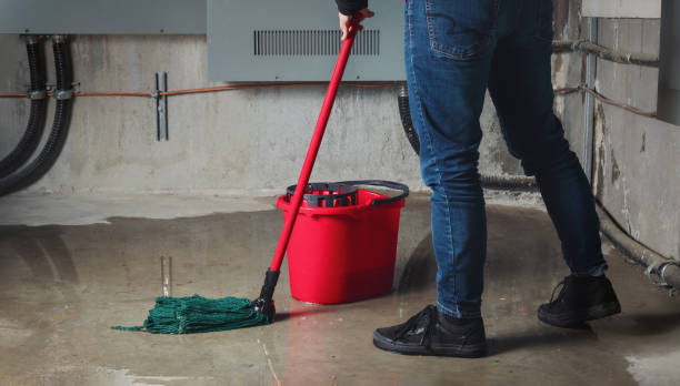 Best Sewage cleanup and water damage restoration  in Montebello, NY