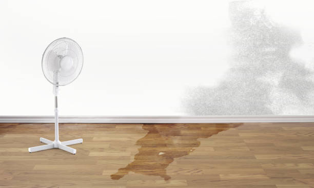 Best Basement water damage restoration  in Montebello, NY