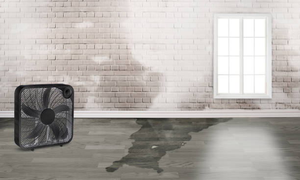 Professional Water damage restoration in NY