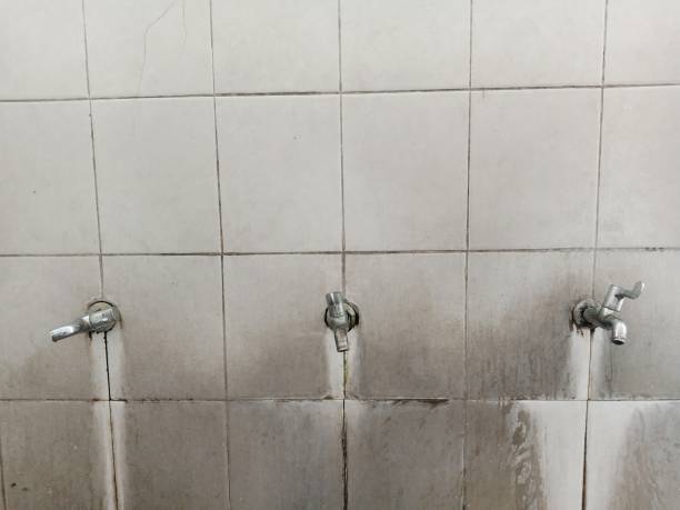 Best Local water damage restoration  in Montebello, NY