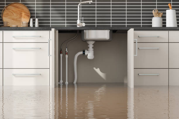 Best Flood restoration services  in Montebello, NY